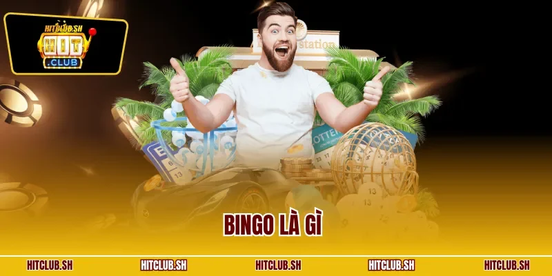 bingo là gì